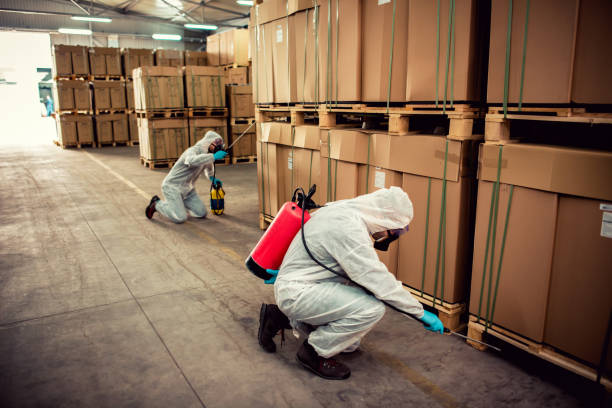 Best Affordable Pest Control Services  in Long Branch, NJ