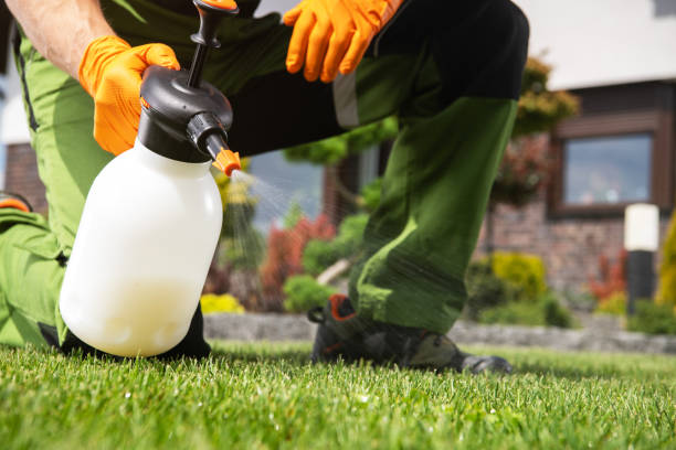 Best Best Pest Control Companies  in Long Branch, NJ