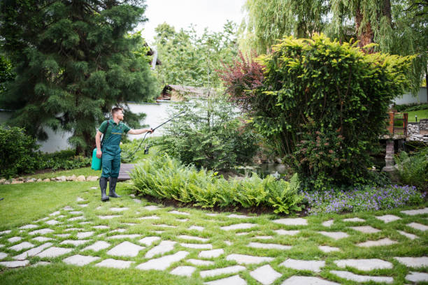 Best Best Pest Control Companies  in Long Branch, NJ