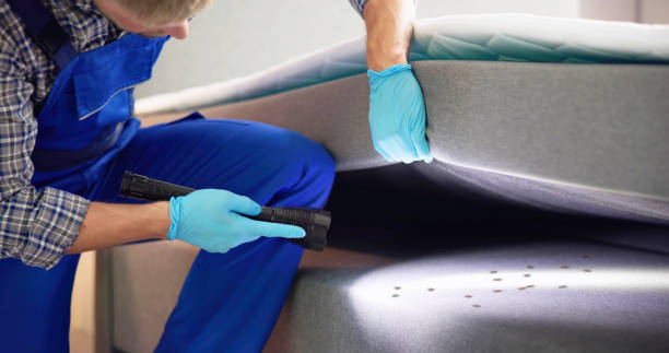 Wasp Removal Services in Long Branch, NJ