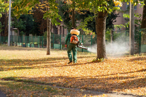 Best Local Pest Control Services  in Long Branch, NJ