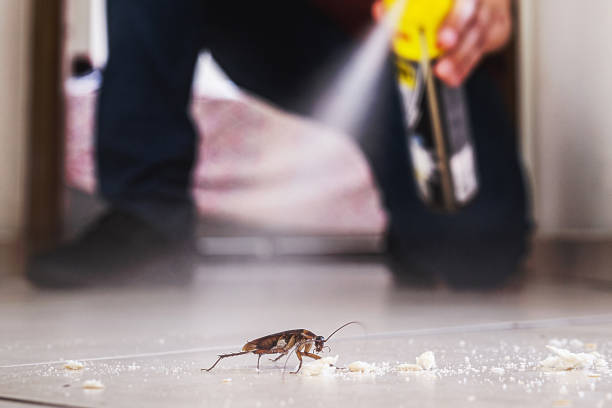 Best Ant Control Services  in Long Branch, NJ