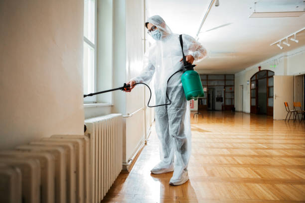 Flea Control Services in Long Branch, NJ