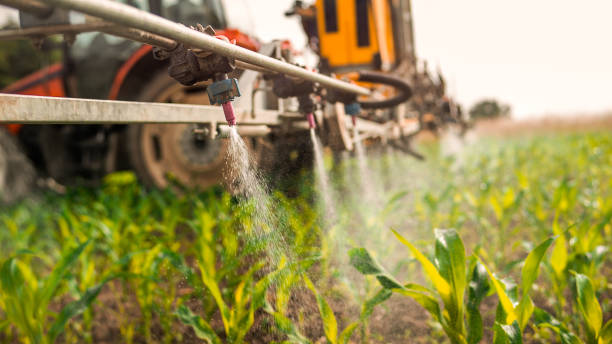 Best Commercial Pest Control Services  in Long Branch, NJ
